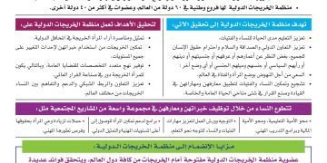 دعوة لحملة الشهادات الجامعية من النساء للإنضمام الى منظمة الخريجات الدولية