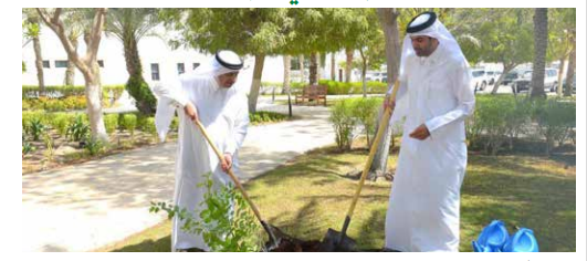 الدكتور آل إبراهيم يشارك في حملة التشجير المليونية في دولة قطر